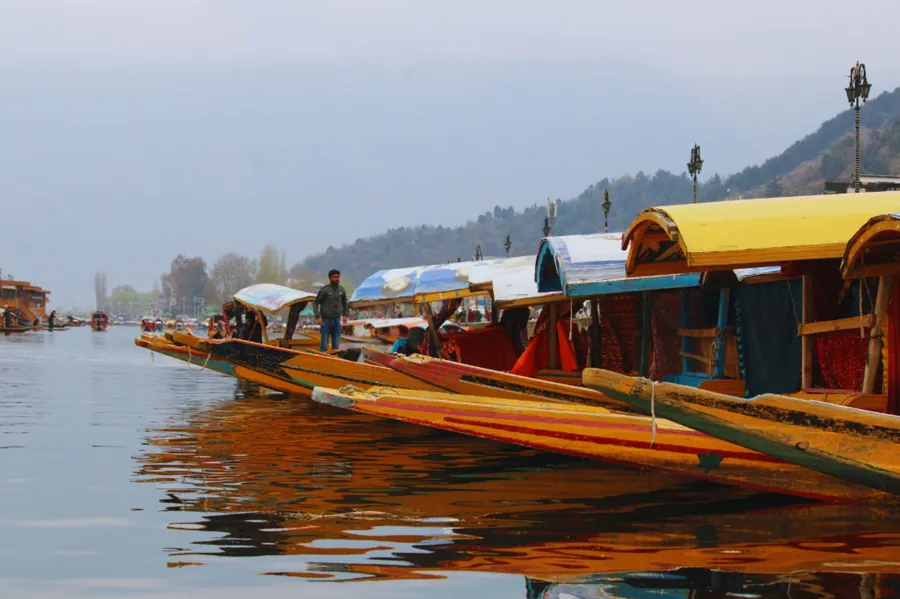 Colourful shikara boats lined up on Dal Lake in Srinagar