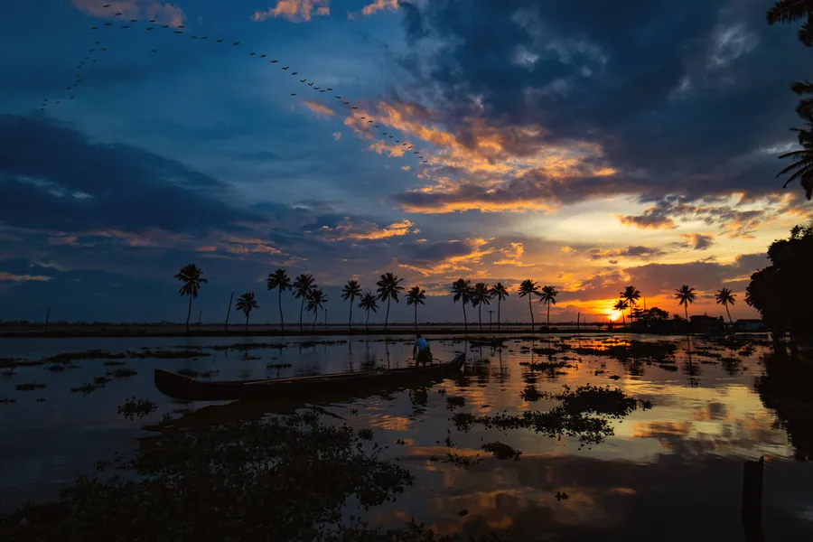Sunset over the Kerala backwaters with palm trees and a canoe