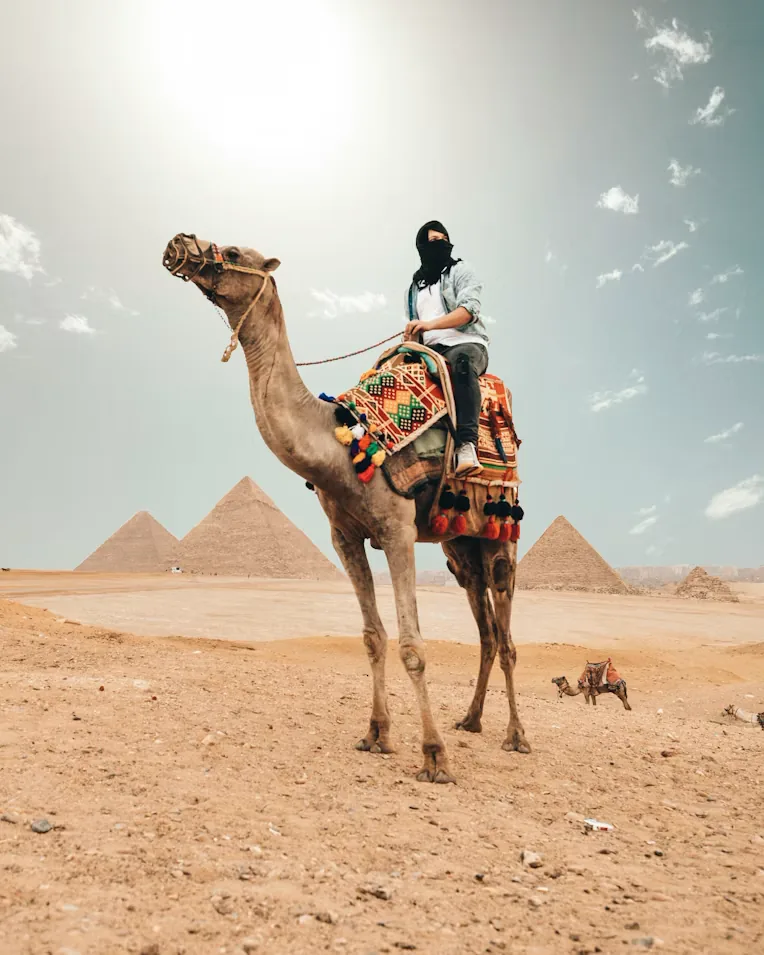 A traveller on a camel in front of the pyramids of Giza