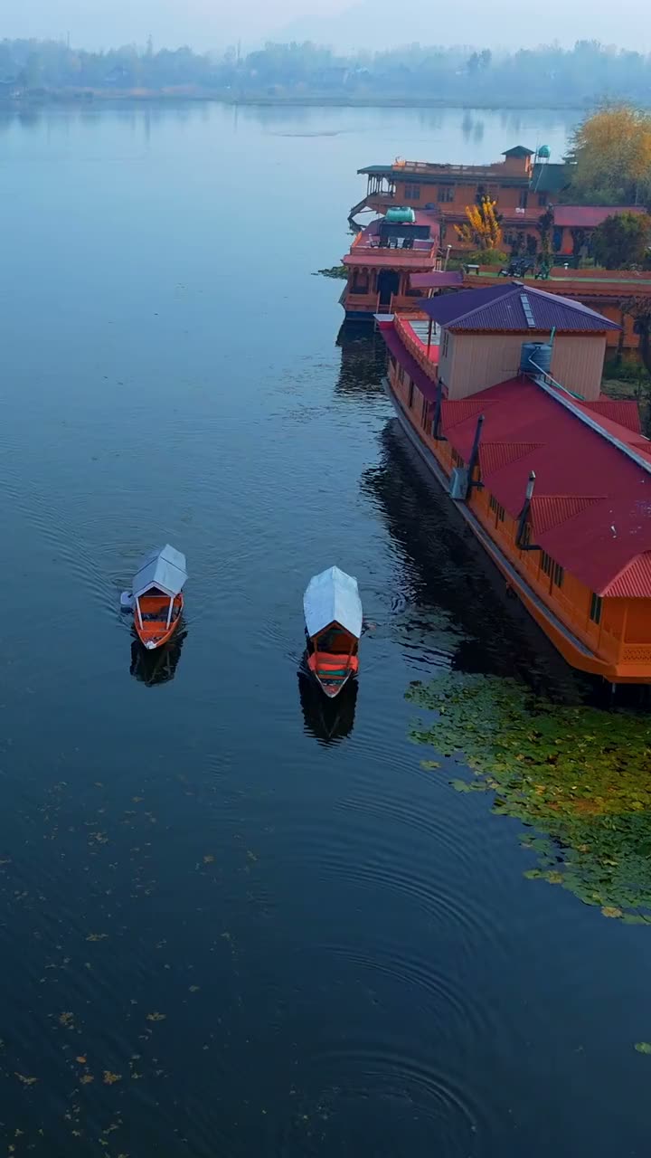 Shikaras resting on Dal Lake
